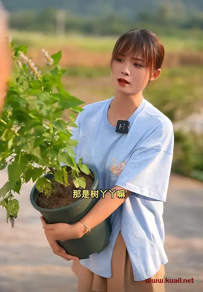 网红严肃