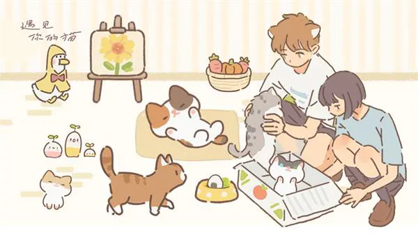遇见你的猫兑换码2023