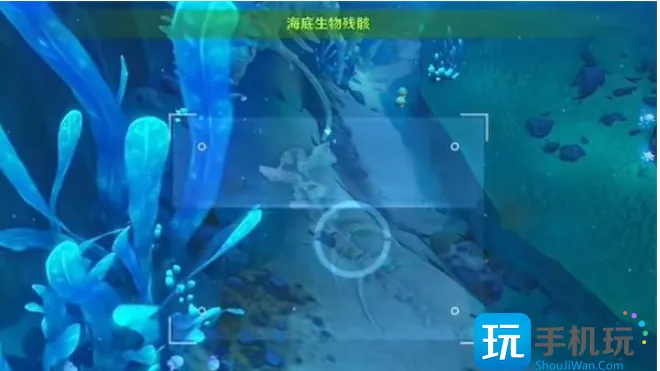 原神水下沉落物在哪 水下沉落物位置分享
