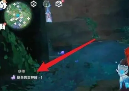 原神鸣神大社雷神瞳怎么获得图3