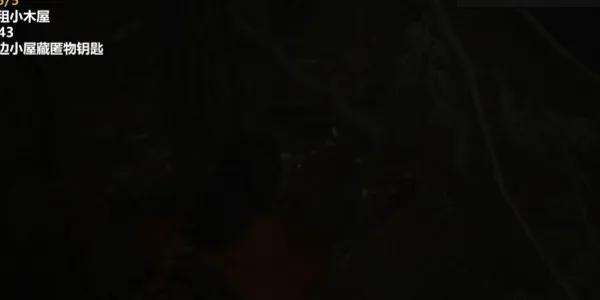 心灵杀手2巨釜湖出租小木屋藏匿物在哪