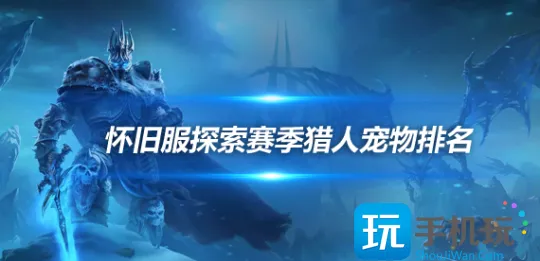 怀旧服探索赛季猎人宠物评级 豹和迅猛龙必抓 怀旧服探索赛季猎人宠物评级 豹和迅猛龙必抓