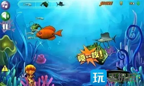鱼吃鱼怎么获得永久苍龙