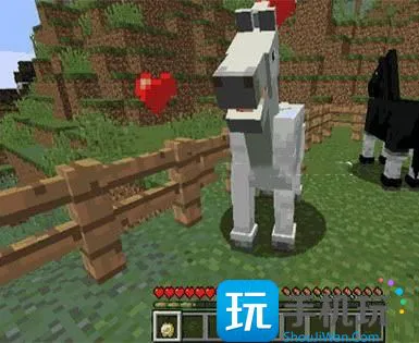我的世界马怎么繁殖高品种 我的世界马怎么繁殖高品种