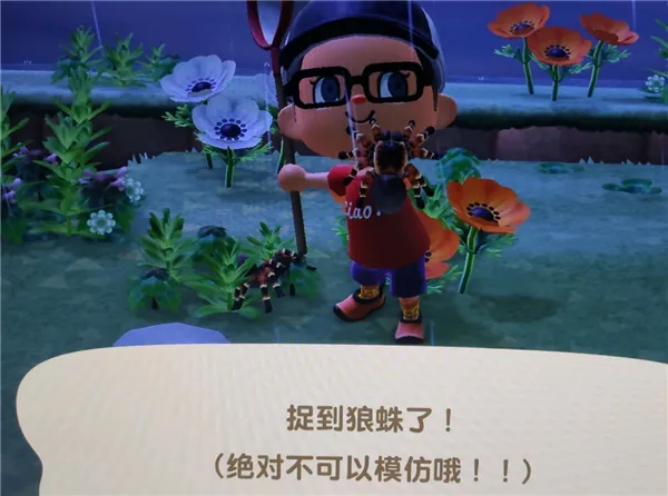 动物之森狼蛛怎么抓
