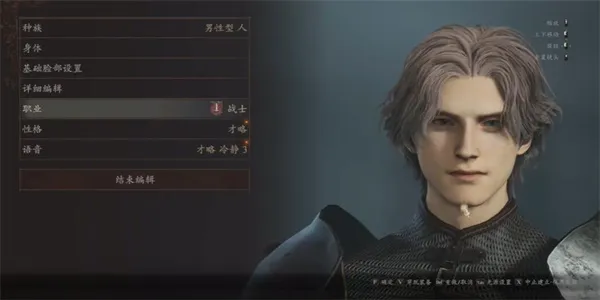 龙之信条2攻略大全
