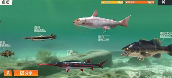 欢乐钓鱼大师典藏鱼图鉴