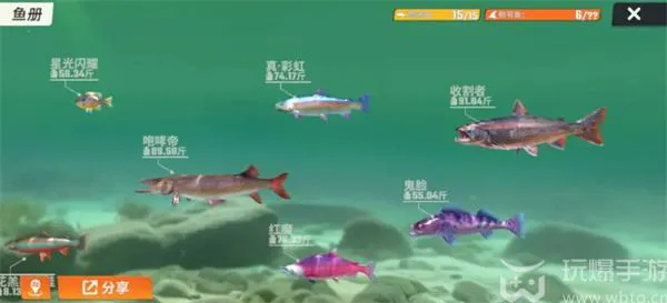 欢乐钓鱼大师典藏鱼图鉴