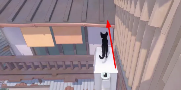 小猫咪大城市小恶魔帽如何获取