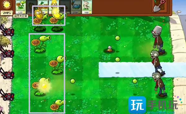 植物大战僵尸杂交版冒险2关指南 杂交版冒险第2关图文通关流程