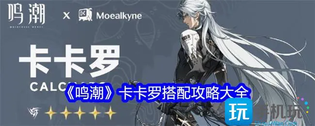 《鸣潮》卡卡罗搭配攻略大全 《鸣潮》卡卡罗搭配攻略大全