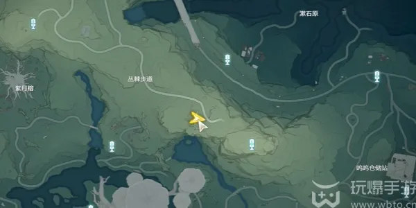 《鸣潮》中的无光之森数据集位置
