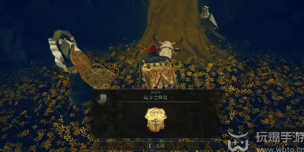 艾尔登法环黄金树之影远方之恢复怎么收集