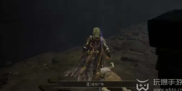 艾尔登法环黄金树之影火焰骑士圣印记怎么收集