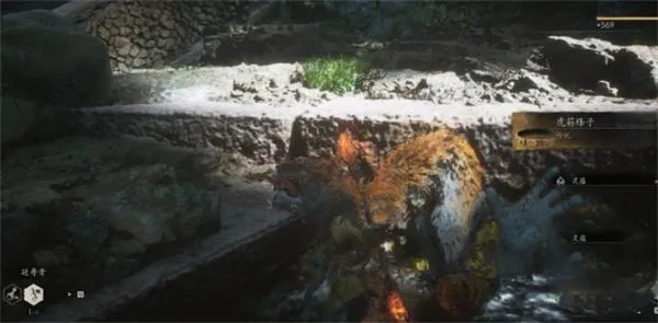 黑神话悟空虎筋条子位置一览2 黑神话悟空虎筋条子位置一览2